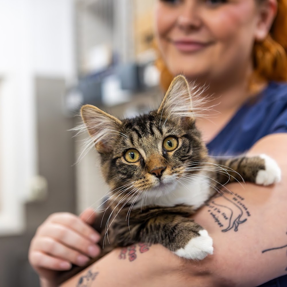Bristol Animal Rescue Centre