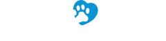 Adoption Inquiry: Boston