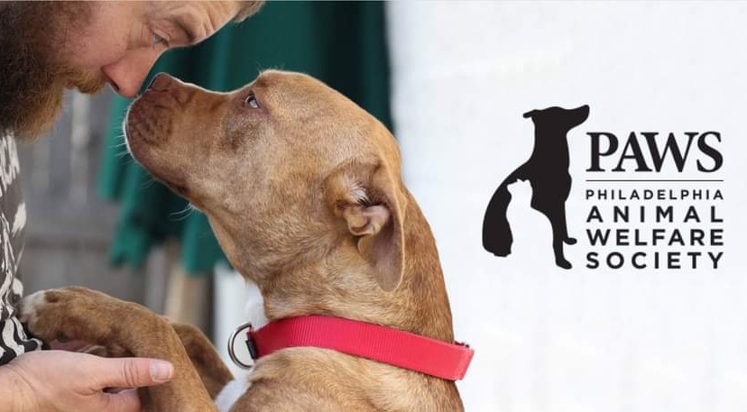 PAWS Philadelphia