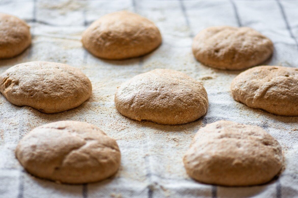 Unlocking the Benefits of Low Fat Cat Food for Indoor Felines